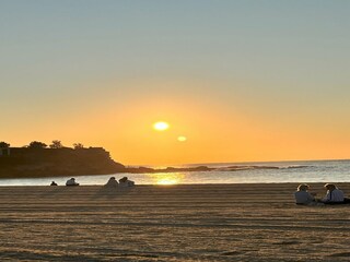Maison de vacances Sydney Environnement 11