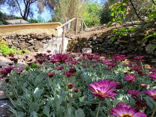 Maison de vacances Torrox Environnement 9