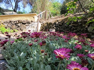 Vakantiehuis Torrox Omgeving 9