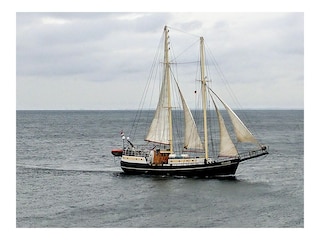 Ferienhaus Maasholm Umgebung 23