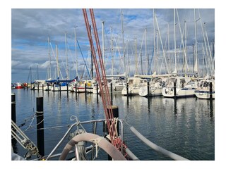 Ferienhaus Hasselberg Umgebung 21
