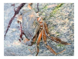 Ferienhaus Kappeln Umgebung 15