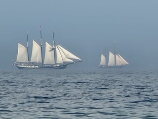 Ferienhaus Kappeln Umgebung 16