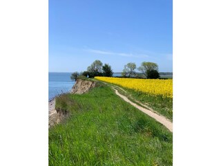 Ferienhaus Kappeln Umgebung 17