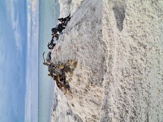 Ferienhaus Damp Umgebung 19