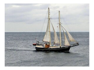 Ferienhaus Ostseebad Schönhagen Umgebung 16
