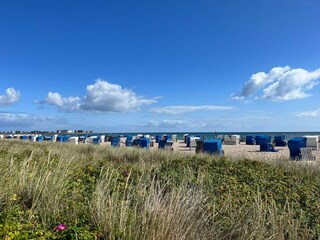 Ferienhaus Ostseebad Schönhagen Umgebung 20