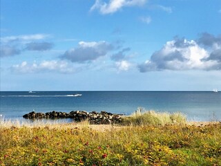Ferienhaus Ostseebad Schönhagen Umgebung 15