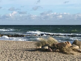 Ferienhaus Ostseebad Schönhagen Umgebung 16