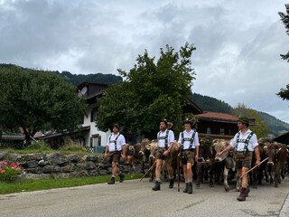 Viehscheid Bolsterlang