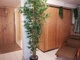 Sauna im Haus Am Mühlbach