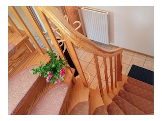 Ferienhaus Maasholm Außenaufnahme 3