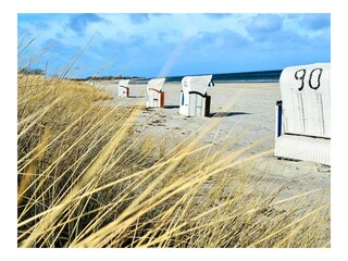 Ferienwohnung Maasholm Umgebung 16