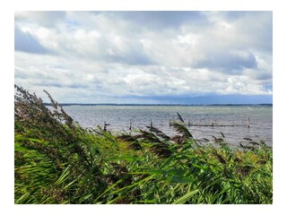Ferienwohnung Maasholm Umgebung 9