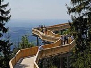 Holiday apartment Prackenbach Environment 26