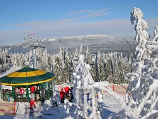 Holiday apartment Prackenbach Environment 28