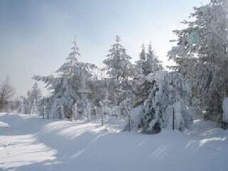 Holiday apartment Prackenbach Environment 29