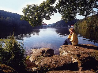 Holiday apartment Prackenbach Environment 22