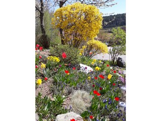 Holiday apartment Prackenbach Outdoor Recording 9