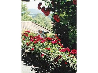 Holiday apartment Prackenbach Outdoor Recording 11