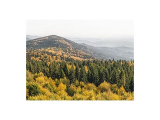 Holiday apartment Prackenbach Environment 30