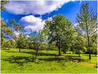 Holiday apartment Prackenbach Environment 31