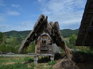 Holiday apartment Prackenbach Environment 32