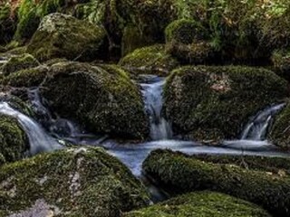 Holiday apartment Prackenbach Environment 33