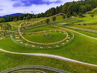 Holiday apartment Prackenbach Environment 35