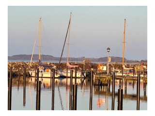 Ferienwohnung Maasholm Umgebung 15