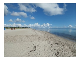 Ferienwohnung Maasholm Umgebung 23