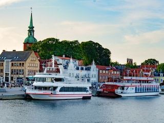 Ferienhaus Kappeln Umgebung 31