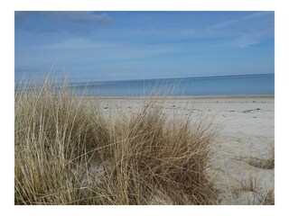 Ferienwohnung Maasholm Außenaufnahme 11