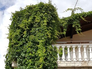 Apartment Privlaka  3