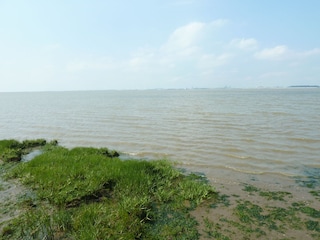 Ditzum Umgebung - Blick auf Dollard