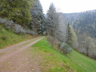 Umgebung der Ferienwohnung