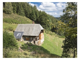 Schwarzwald Ferienwohnung in Alleinlage im Wald