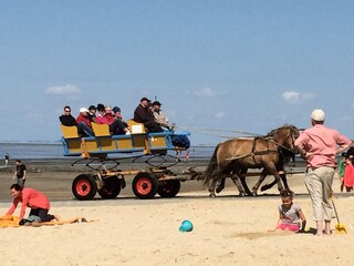 Holiday apartment Duhnen Environment 18