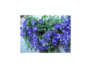 Casa de vacaciones Haselbourg Grabación al aire libre 7