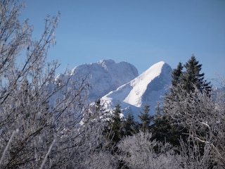 Blick vom Balkon zur Alpspitze