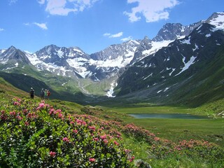 Vakantieappartement St. Leonhard in Passeier Omgeving 28