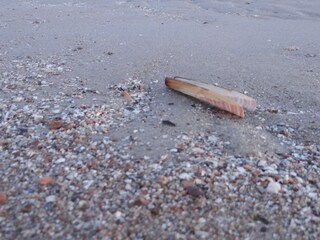 Appartamento per vacanze Zoutelande Ambiente 24