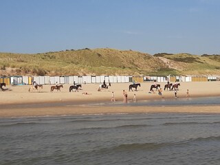 Appartamento per vacanze Zoutelande Ambiente 29