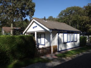 Ferienwohnung Koppejan 1 - Zoutelande - image1