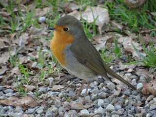 Appartamento per vacanze Zoutelande Ambiente 27