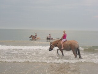 Appartamento per vacanze Zoutelande Ambiente 21