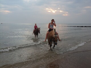 Appartamento per vacanze Zoutelande Ambiente 21