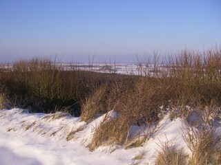 Appartamento per vacanze Zoutelande Ambiente 24