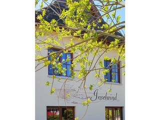 Frühling