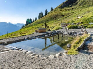 Apartamento Jochberg Entorno 15